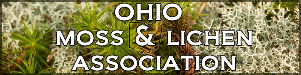 Ohio Moss and Lichen Association