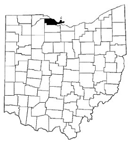 Ottawa County map