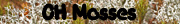 Ohio Mosses