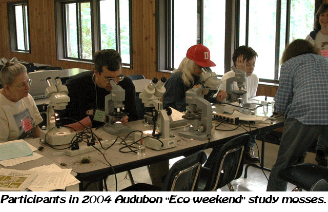 Eco-weekend 2004 Microscope Session