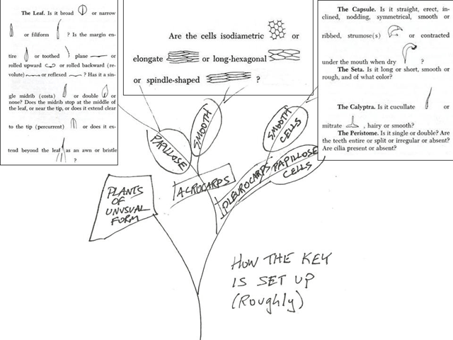 Crum key organization