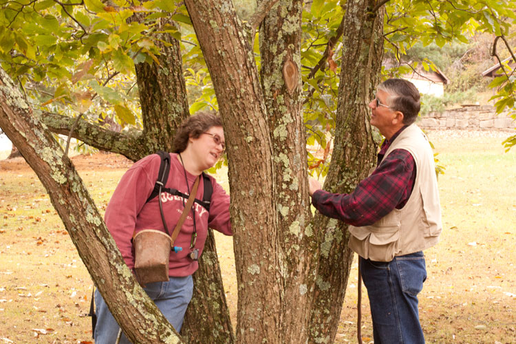 OMLA members examine tree bark for lichens