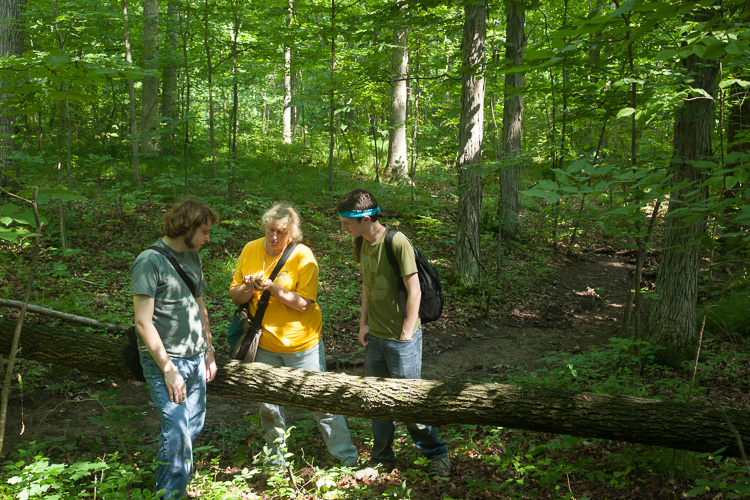 Cynthia, Jeff and Logan ponder cryptogams on coarse woody debris at Thoreau Sanctuary. 