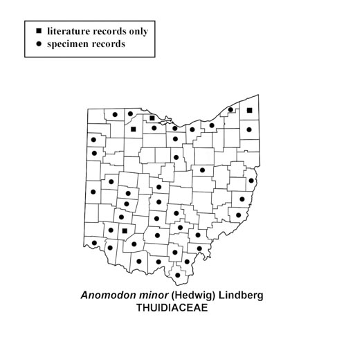 Anomodon-minor-simplemap