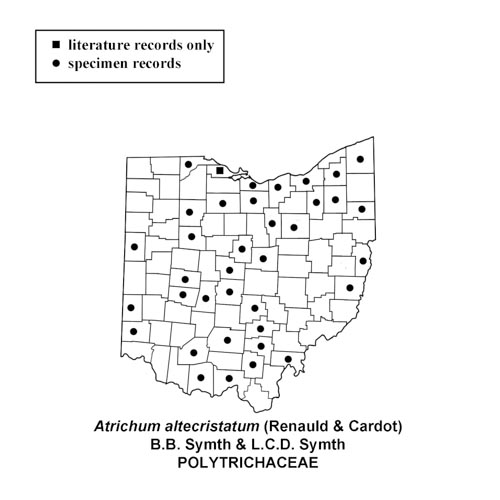 Atrichum-altecristatum-simplemap