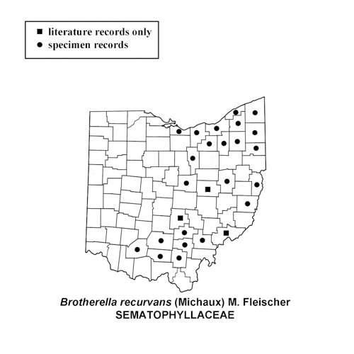 Brotherella-recurvans-simplemap