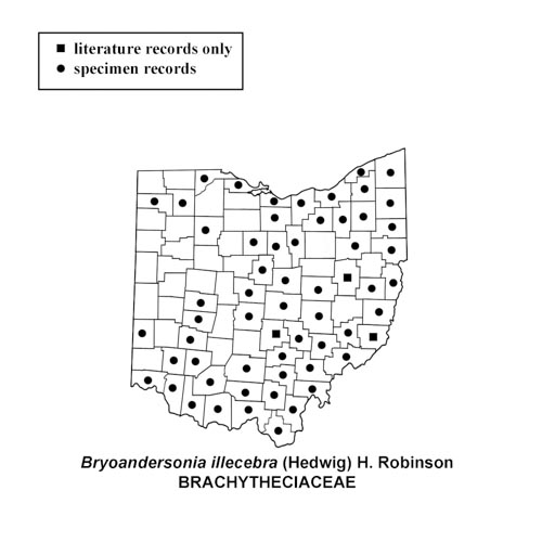 Bryoandersonia-illecebra-simplemap