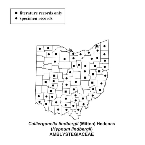 Calliergonella-lindbergii-simplemap