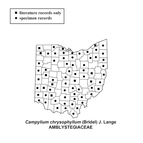 Campylium-chrysophyllum-simplemap