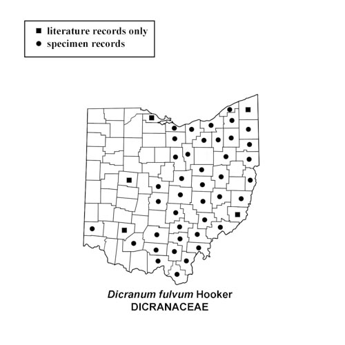 Dicranum-fulvum-simplemap