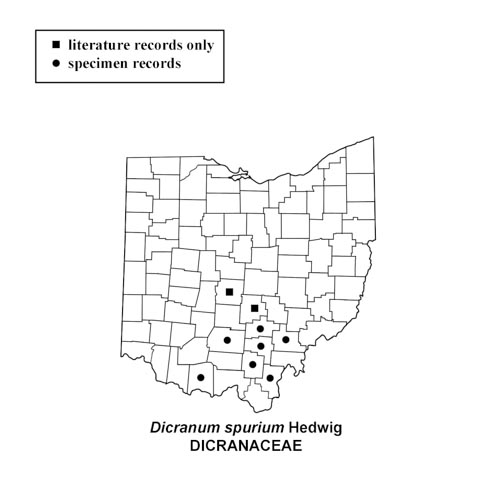 Dicranum-spurium-simplemap