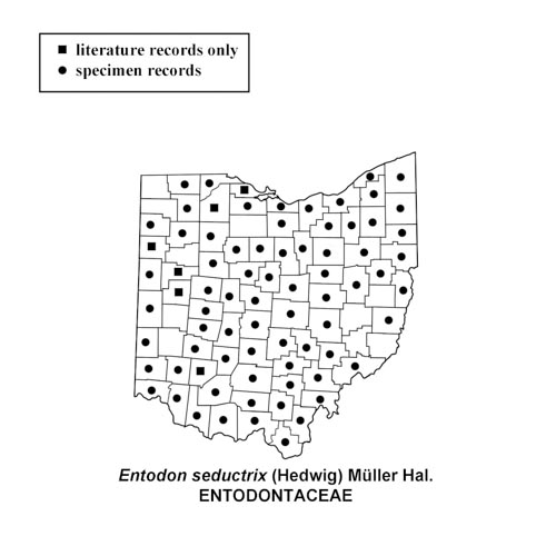 Entodon-seductrix-simplemap