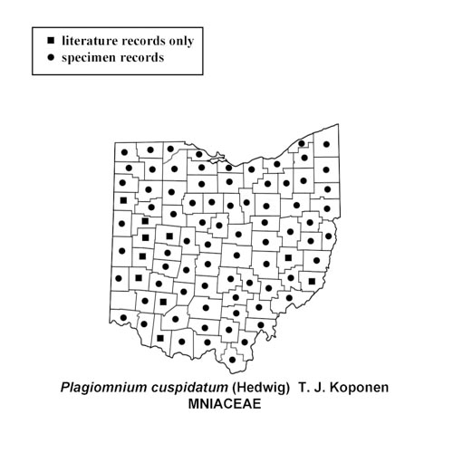 Plagiomnium-cuspidatum-simplemap