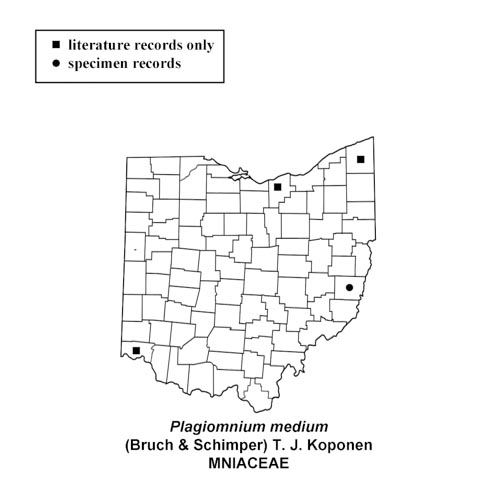 Plagiomnium-medium-simplemap