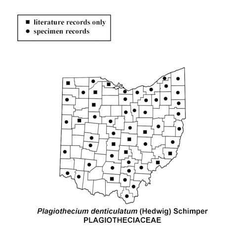 Plagiothecium-denticulatum-simplemap