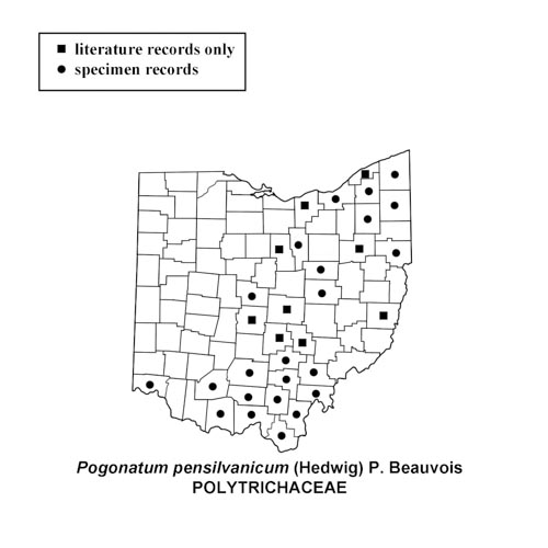 Pogonatum-pensilvanicum-simplemap