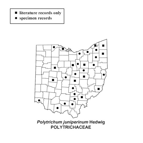 Polytrichum-juniperinum-simplemap