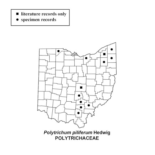 Polytrichum-piliferum-simplemap