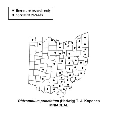 Rhizomnium-punctatum-simplemap