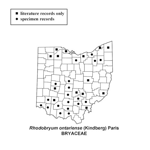 Rhodobryum-ontariense-simplemap