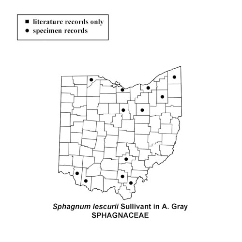 Sphagnum-lescurii-simplemap