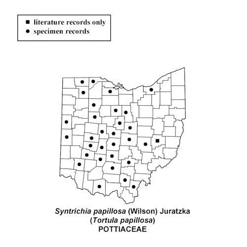 Syntrichia-papillosa-simplemap