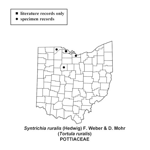 Syntrichia-ruralis-simplemap