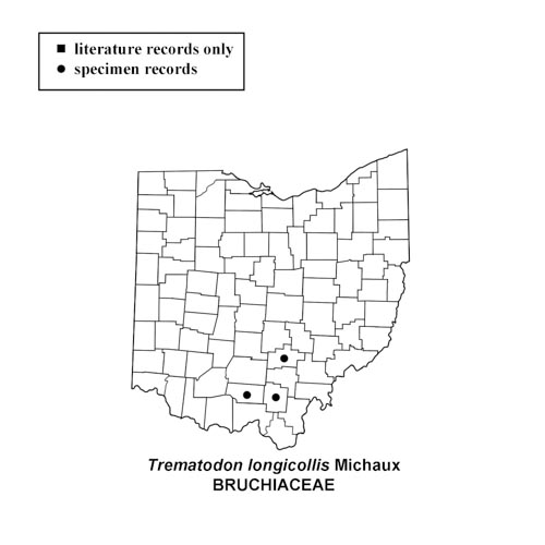 Trematodon-longicollis-simplemap