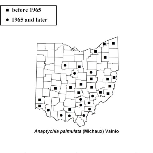Anaptychia-palmulata-simplemap