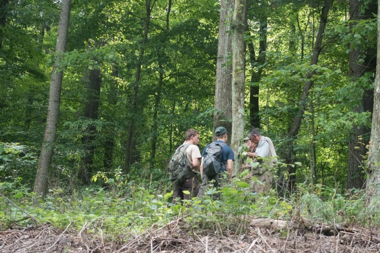 Lichenologists explore tree trunks in Carroll County. July 16, 2016.