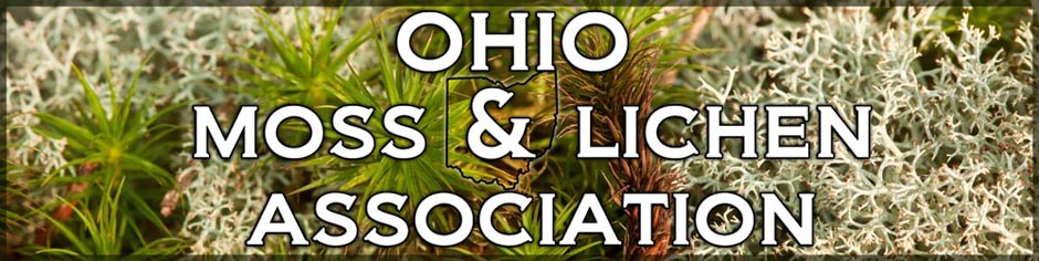 Ohio Moss and Lichen Association 